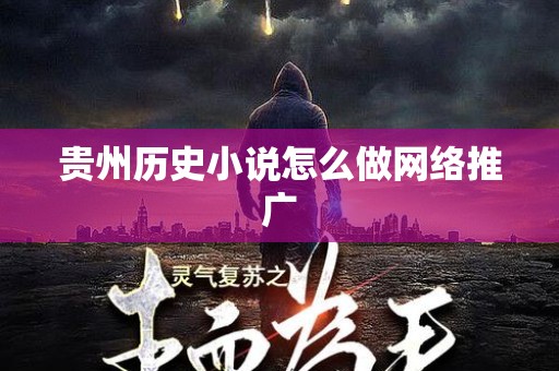 贵州历史小说怎么做网络推广