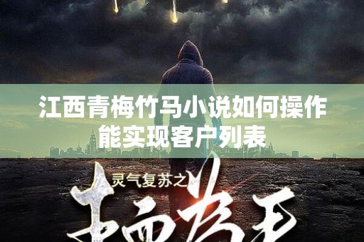 江西青梅竹马小说如何操作能实现客户列表