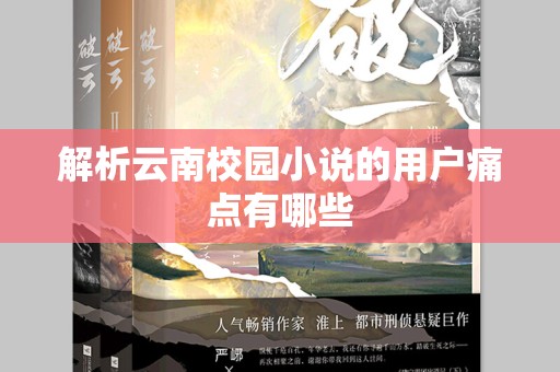 解析云南校园小说的用户痛点有哪些