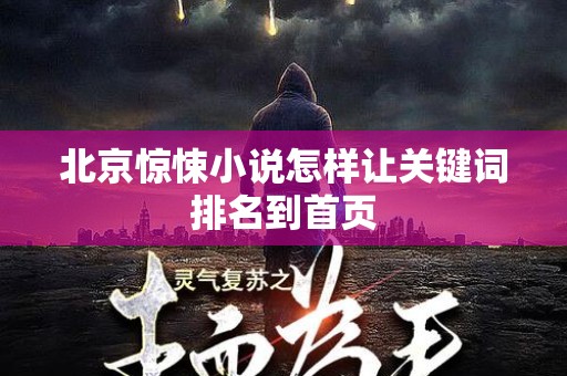 北京惊悚小说怎样让关键词排名到首页