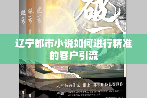 辽宁都市小说如何进行精准的客户引流