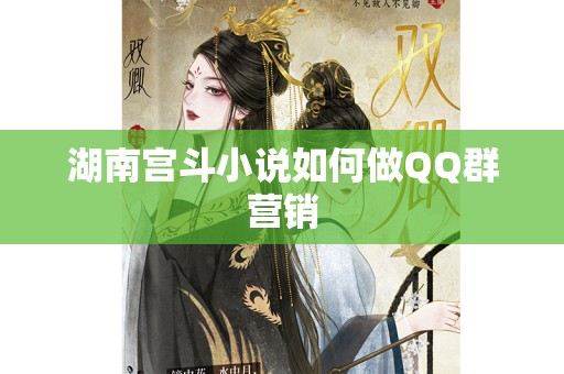 湖南宫斗小说如何做QQ群营销
