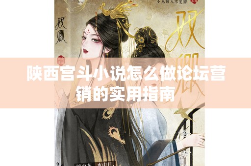 陕西宫斗小说怎么做论坛营销的实用指南