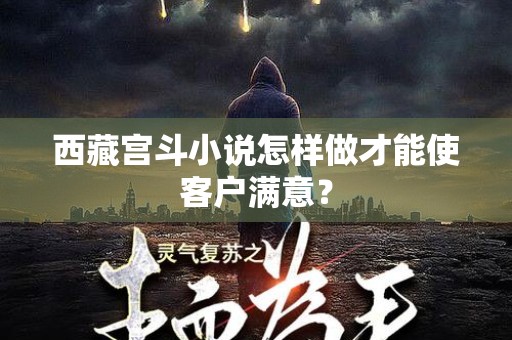 西藏宫斗小说怎样做才能使客户满意？