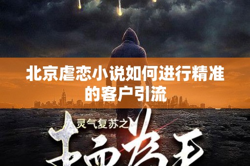 北京虐恋小说如何进行精准的客户引流
