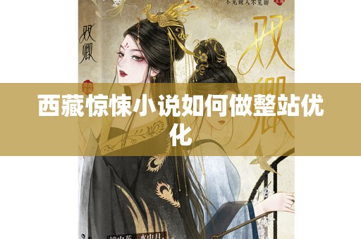 西藏惊悚小说如何做整站优化