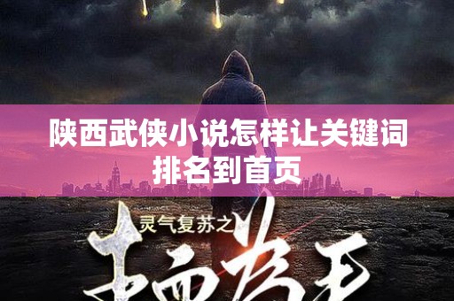 陕西武侠小说怎样让关键词排名到首页