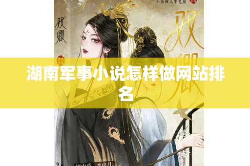 湖南军事小说怎样做网站排名