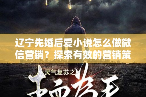 辽宁先婚后爱小说怎么做微信营销？探索有效的营销策略