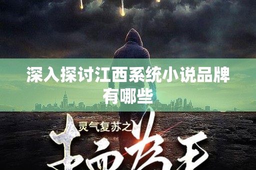 深入探讨江西系统小说品牌有哪些