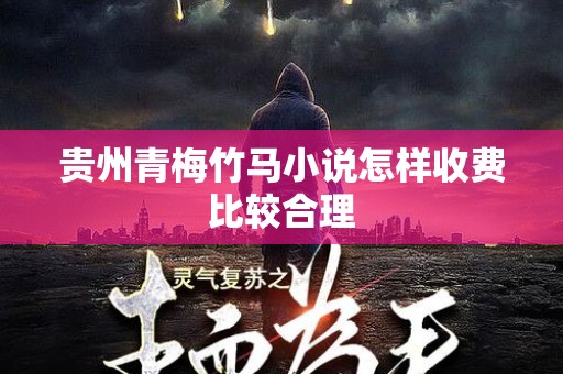 贵州青梅竹马小说怎样收费比较合理