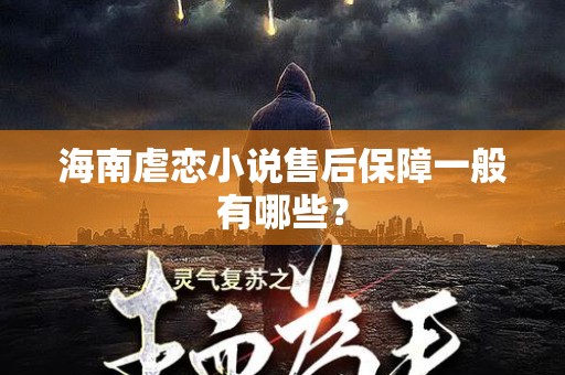 海南虐恋小说售后保障一般有哪些？
