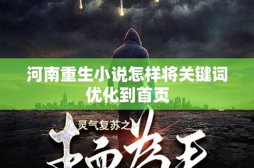 河南重生小说怎样将关键词优化到首页