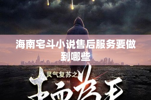 海南宅斗小说售后服务要做到哪些