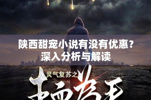 陕西甜宠小说有没有优惠？深入分析与解读