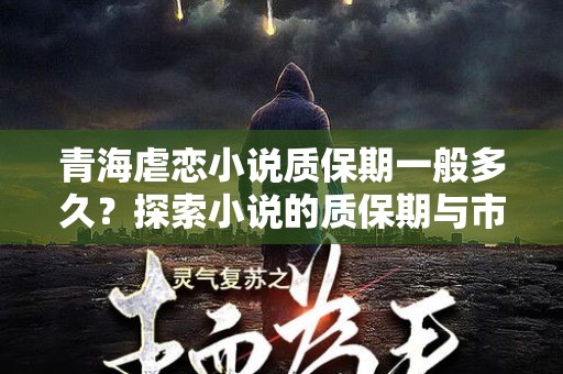 青海虐恋小说质保期一般多久？探索小说的质保期与市场需求