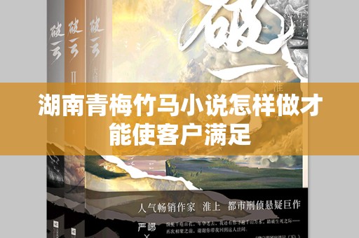 湖南青梅竹马小说怎样做才能使客户满足