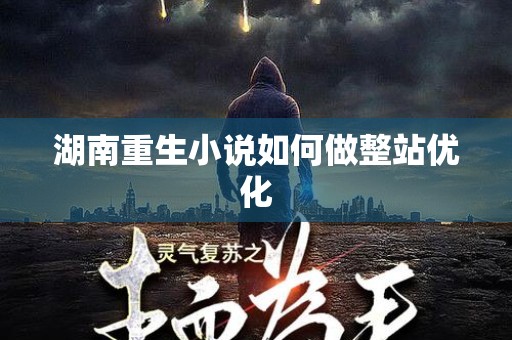 湖南重生小说如何做整站优化