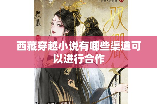西藏穿越小说有哪些渠道可以进行合作