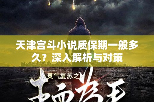 天津宫斗小说质保期一般多久？深入解析与对策