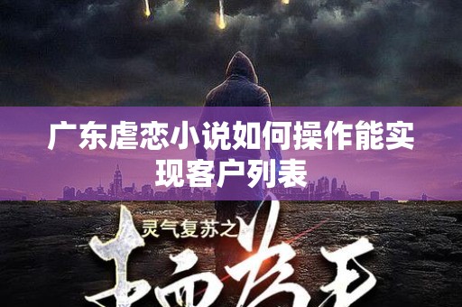 广东虐恋小说如何操作能实现客户列表