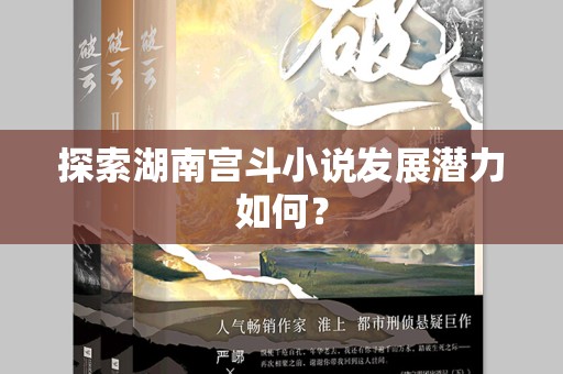 探索湖南宫斗小说发展潜力如何？