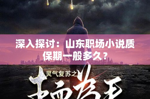 深入探讨：山东职场小说质保期一般多久？