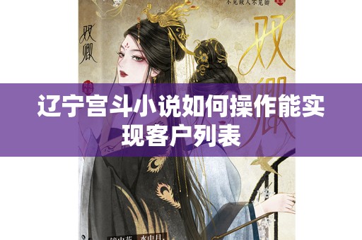 辽宁宫斗小说如何操作能实现客户列表