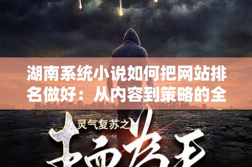 湖南系统小说如何把网站排名做好：从内容到策略的全方位解析