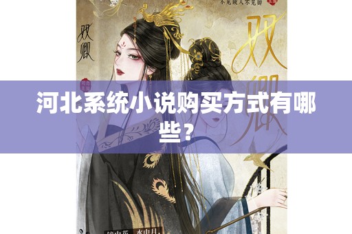 河北系统小说购买方式有哪些？