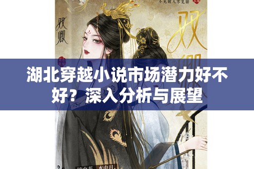 湖北穿越小说市场潜力好不好？深入分析与展望