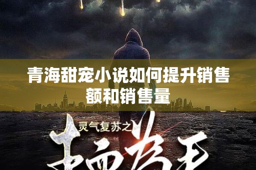 青海甜宠小说如何提升销售额和销售量
