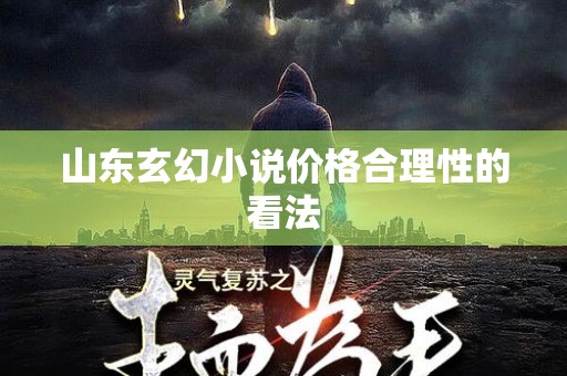 山东玄幻小说价格合理性的看法