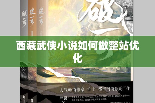 西藏武侠小说如何做整站优化
