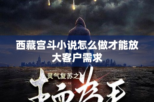 西藏宫斗小说怎么做才能放大客户需求