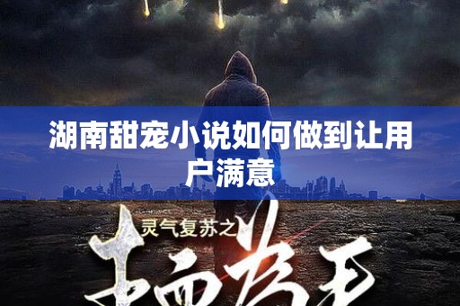 湖南甜宠小说如何做到让用户满意