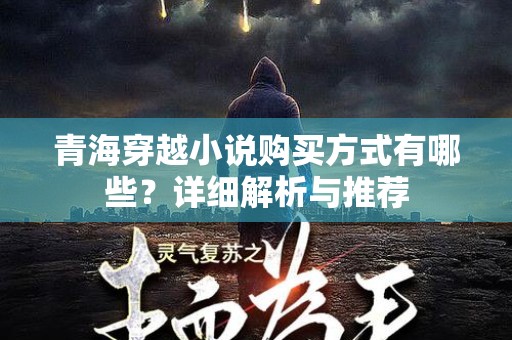 青海穿越小说购买方式有哪些？详细解析与推荐