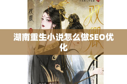 湖南重生小说怎么做SEO优化