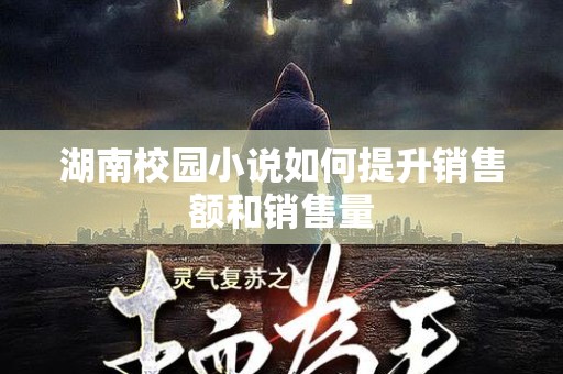 湖南校园小说如何提升销售额和销售量