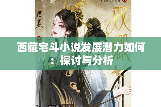 西藏宅斗小说发展潜力如何：探讨与分析