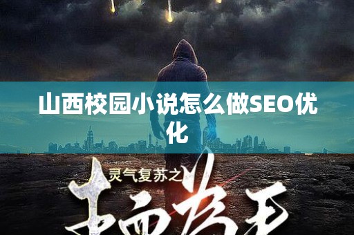 山西校园小说怎么做SEO优化