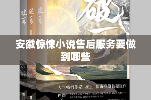 安徽惊悚小说售后服务要做到哪些