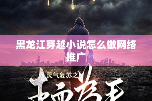 黑龙江穿越小说怎么做网络推广