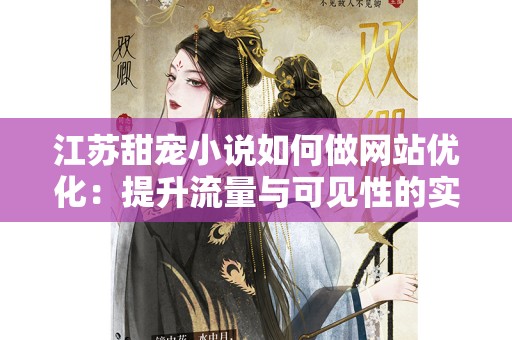 江苏甜宠小说如何做网站优化：提升流量与可见性的实用指南