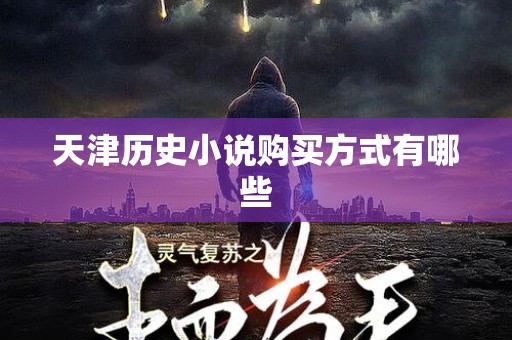 天津历史小说购买方式有哪些