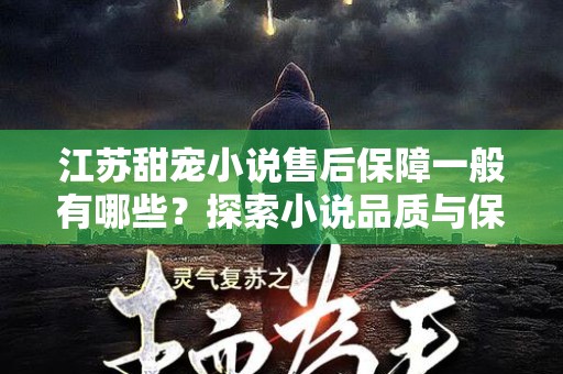 江苏甜宠小说售后保障一般有哪些？探索小说品质与保障服务