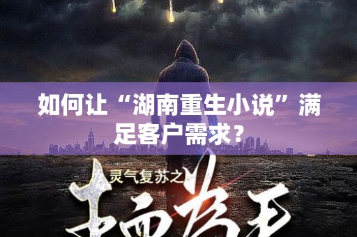 如何让“湖南重生小说”满足客户需求？