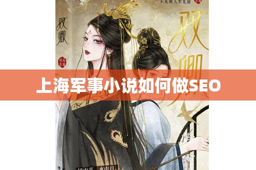 上海军事小说如何做SEO
