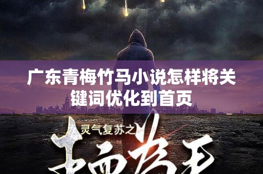 广东青梅竹马小说怎样将关键词优化到首页