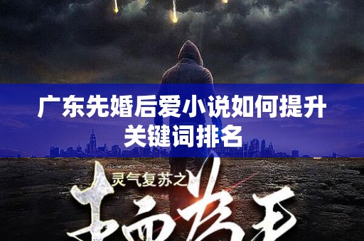广东先婚后爱小说如何提升关键词排名